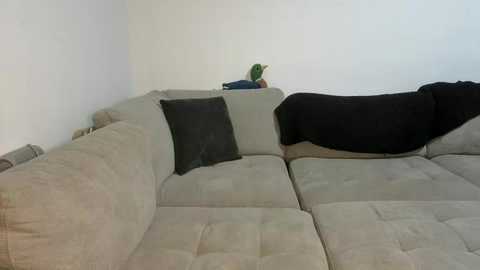 scarletterose_504259 free recording from 2025-09-08 00:51:00