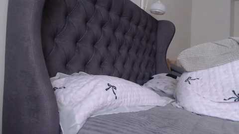 single_fox_4u free recording from 2025-09-08 13:07:00