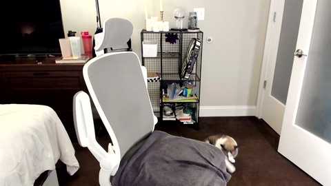 eve003300 free recording from 2025-09-09 01:53:00