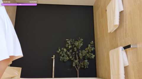 lilmish free recording from 2025-09-09 08:21:00