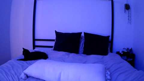 nickyselene free recording from 2025-09-09 04:15:00