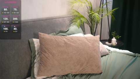 pamelaryant free recording from 2025-09-09 05:26:00