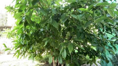 patry333 free recording from 2025-09-09 07:31:00