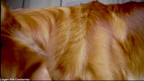 x_lily_x free recording from 2025-09-09 00:52:00