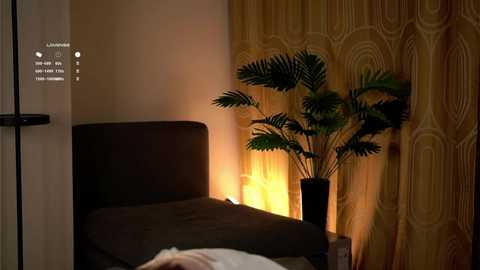 akumadadrive free recording from 