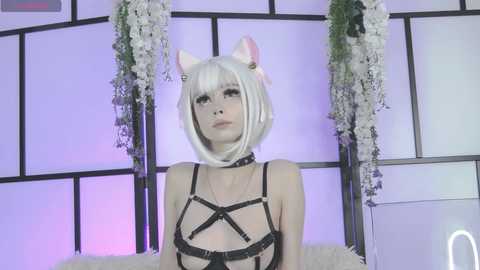 xenomy free recording from 2025-09-10 12:11:00