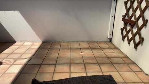 julietmills free recording from 2025-09-11 02:39:00