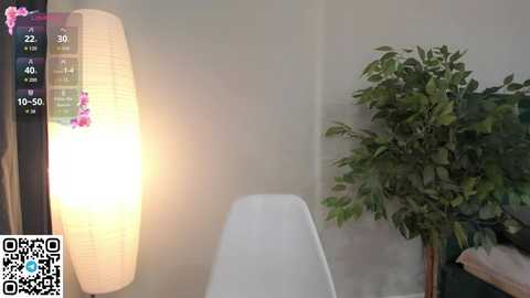 meowmonica free recording from 2025-09-12 13:04:00