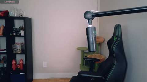 alexa_dream free recording from 2025-09-13 01:10:00