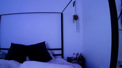 nickyselene free recording from 2025-09-14 04:34:00