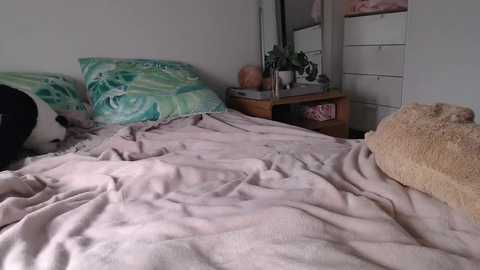 babylolabell free recording from 2025-09-15 03:26:00