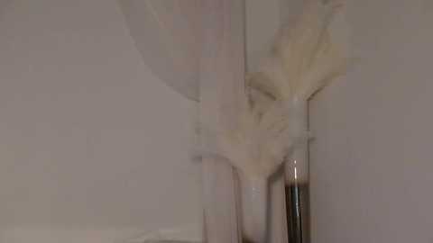 lilbeccaxo free recording from 