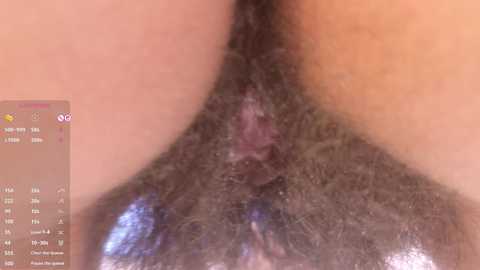 luneva free recording from 