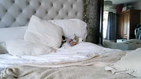 luxelilyx free recording from 