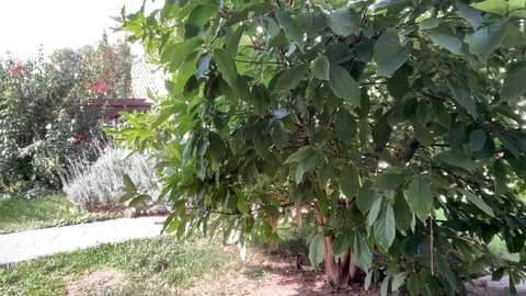 patry333 free recording from 2025-09-15 07:38:00