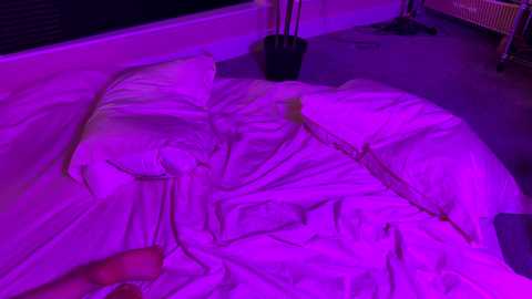 vixenp free recording from 2025-09-15 00:03:00