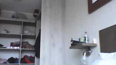 aladino_ms free recording from 2025-09-16 11:14:00