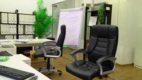 babesgowild free recording from 2025-09-16 07:17:00