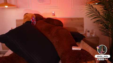 bella__donne free recording from 2025-09-16 15:54:00