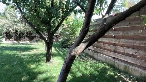 patry333 free recording from 2025-09-16 08:07:00