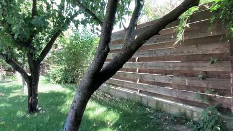 patry333 free recording from 