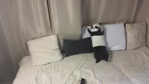 spicyyuki free recording from 2025-09-16 19:06:00