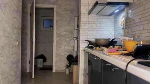 fantasy_picture free recording from 2025-09-17 15:44:00