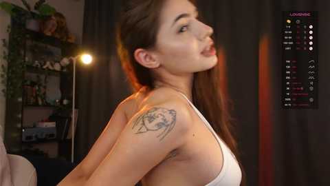 meowmacito free recording from 2025-09-17 18:22:00