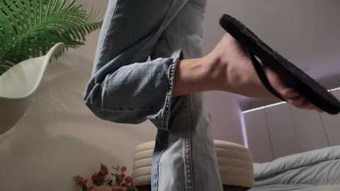 tadammary free recording from 