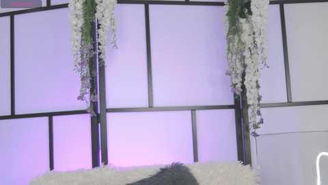 xenomy free recording from 2025-09-18 12:04:00