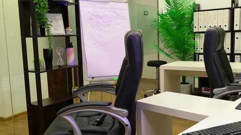 babesgowild free recording from 2025-09-19 07:33:00