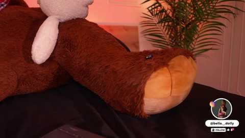 bella__donne free recording from 2025-09-20 15:33:00