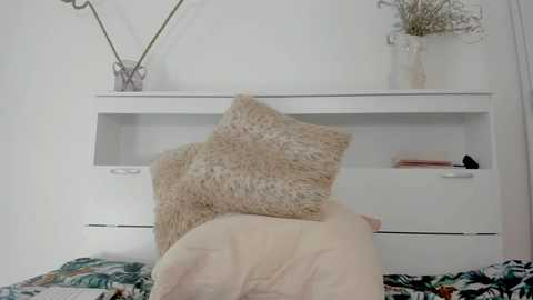 crystalnut free recording from 2025-09-20 09:31:00