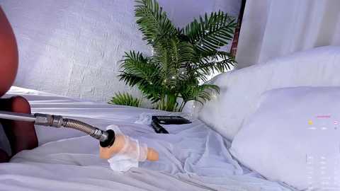 dakota_blare free recording from 2025-09-20 01:50:00