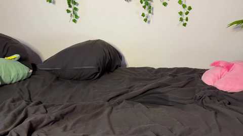 elli_harmon free recording from 