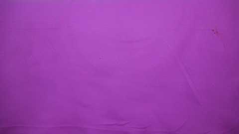 vesia free recording from 