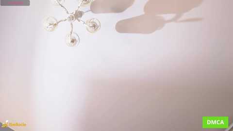 bellacle free recording from 2025-09-21 15:32:00