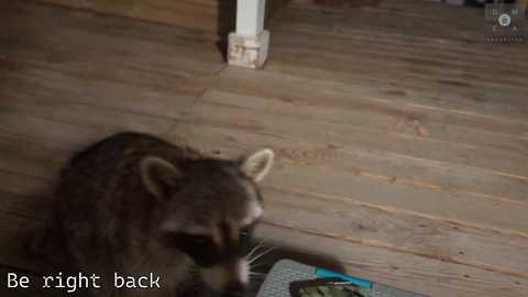 rndmzd free recording from 2025-09-21 09:55:00