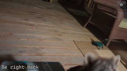 rndmzd free recording from 2025-09-21 13:33:00