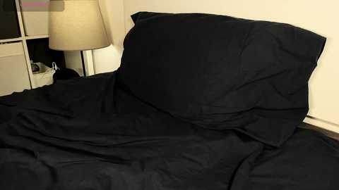 cockheadstud free recording from 2025-09-22 11:22:00