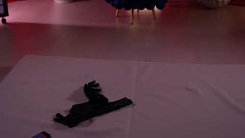 kittycaitlin free recording from 2025-09-22 00:11:00