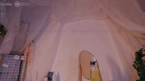 mollyflwers free recording from 