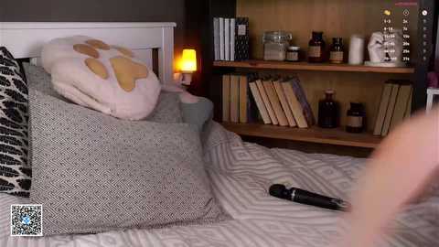 aislyfarran free recording from 2025-09-23 08:32:00