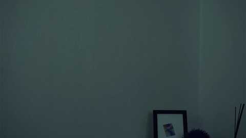 coventinaashfield free recording from 