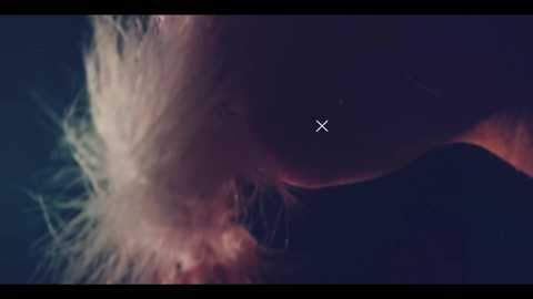 taanni_bc free recording from 2025-09-23 08:01:00