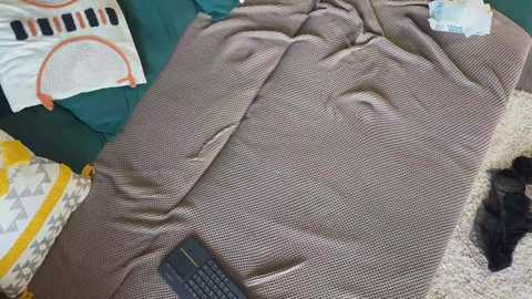 twixsex free recording from 2025-09-23 05:29:00