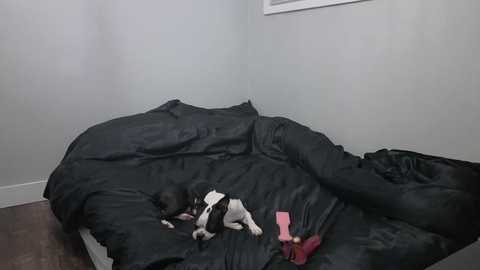 valentinarosexox free recording from 