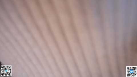 alice_kosmos free recording from 2025-09-24 00:25:00