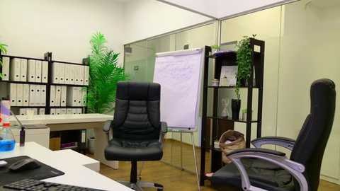 babesgowild free recording from 2025-09-24 07:46:00