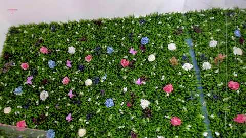 babyaylin free recording from 